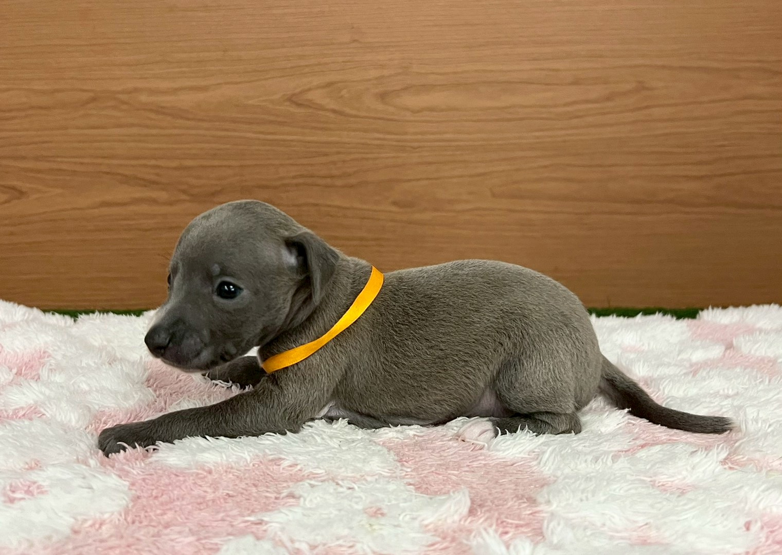 赤ちゃん写真2-2