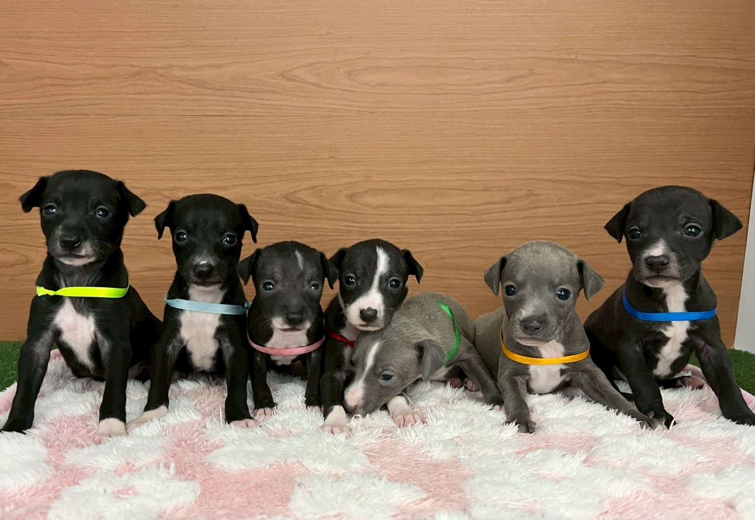 赤ちゃん写真2-3