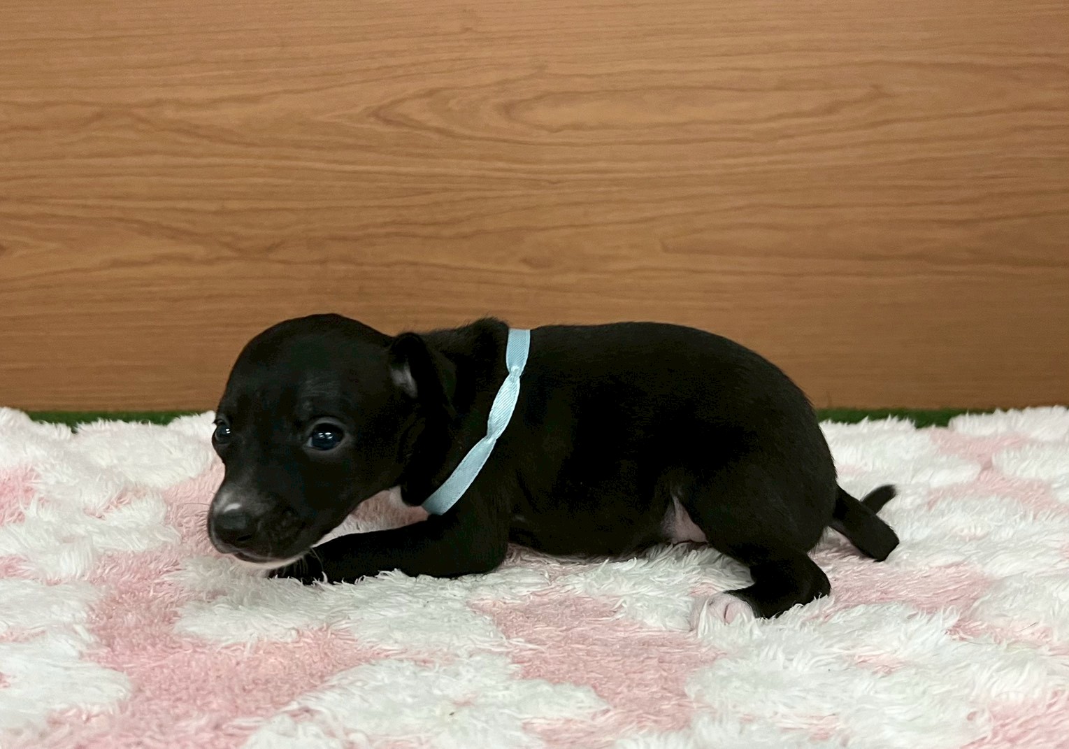 赤ちゃん写真2-2