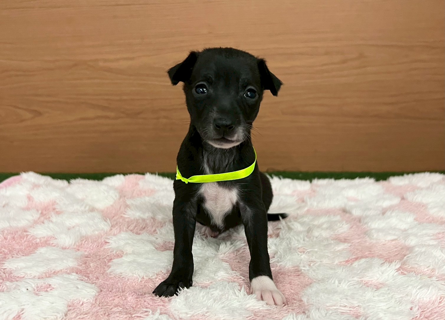 赤ちゃん写真2-1