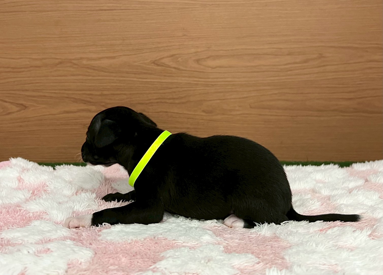 赤ちゃん写真2-2