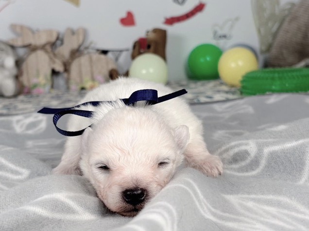 赤ちゃん写真1-1