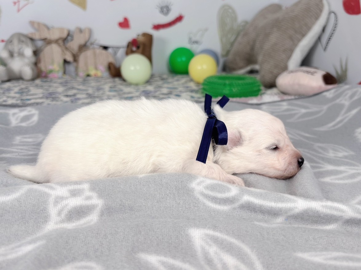 赤ちゃん写真1-2