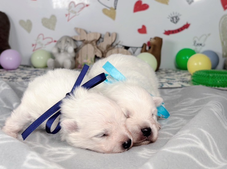 赤ちゃん写真1-3