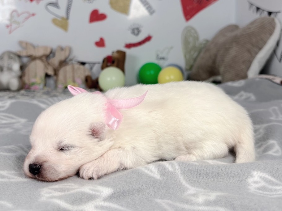 赤ちゃん写真1-2