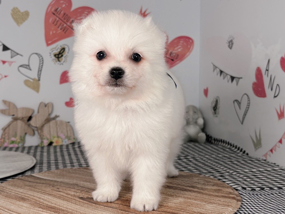 赤ちゃん写真2-1