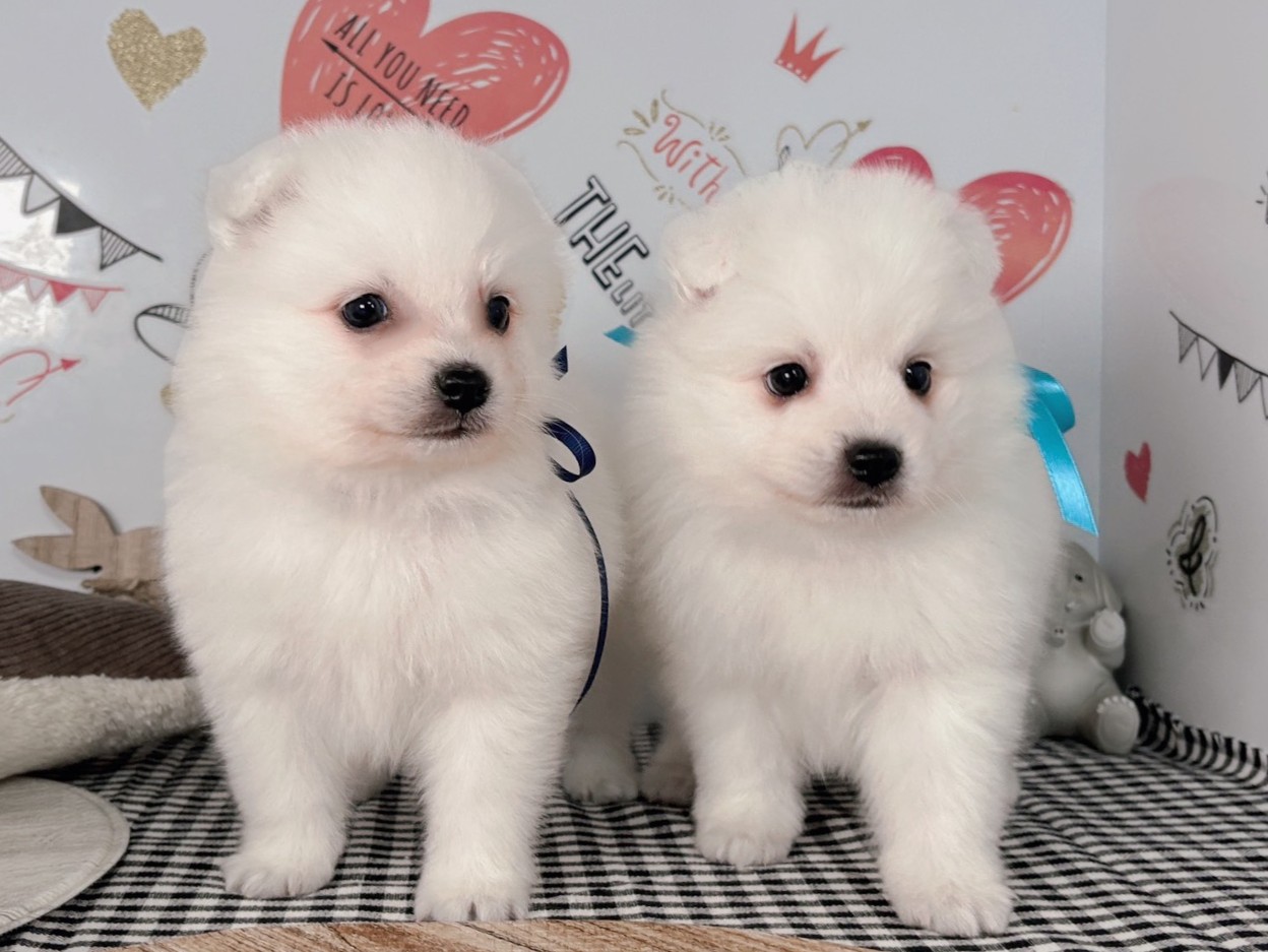 赤ちゃん写真2-3