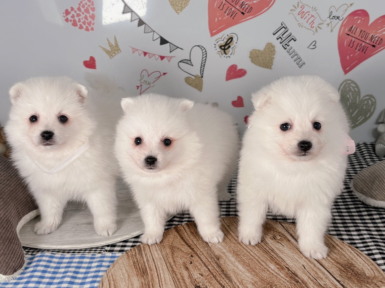 赤ちゃん写真2-3