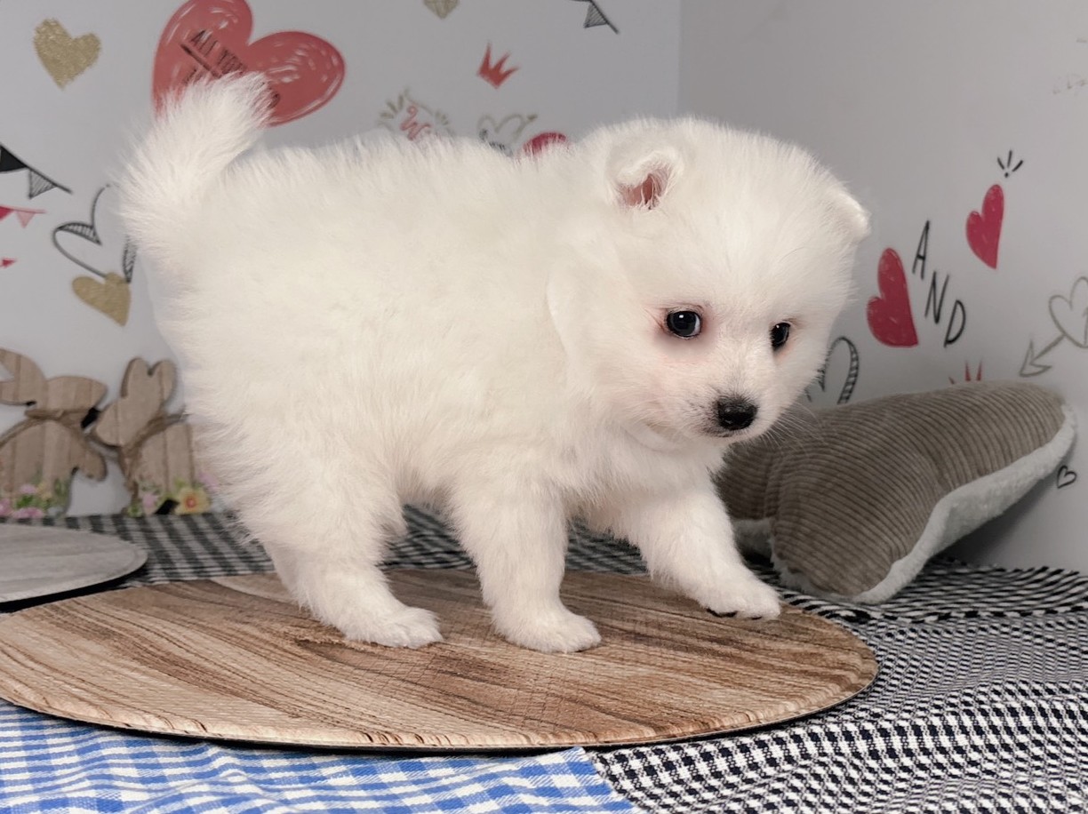 赤ちゃん写真2-2