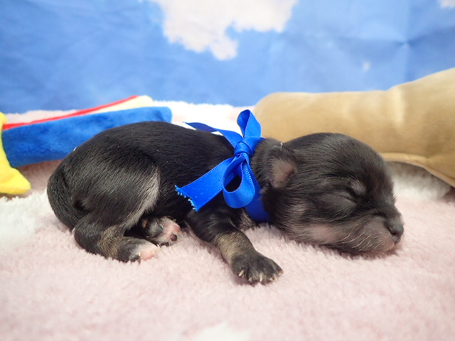 赤ちゃん写真1-2