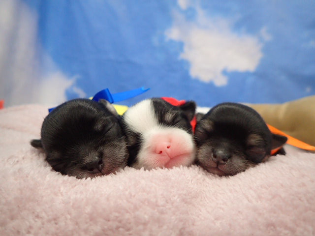 赤ちゃん写真1-3