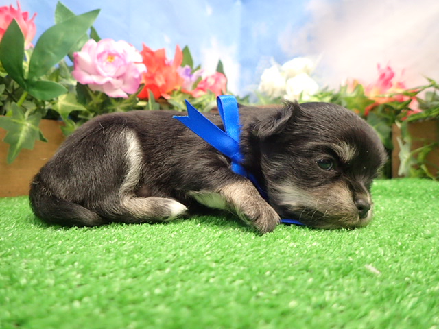 赤ちゃん写真2-2