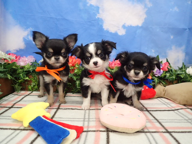 赤ちゃん写真2-3