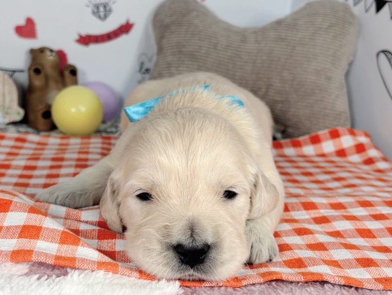 赤ちゃん写真1-1