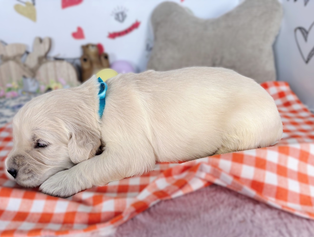 赤ちゃん写真1-2