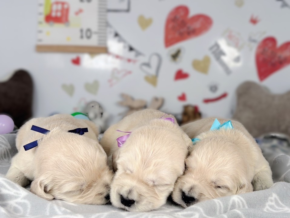 赤ちゃん写真1-3