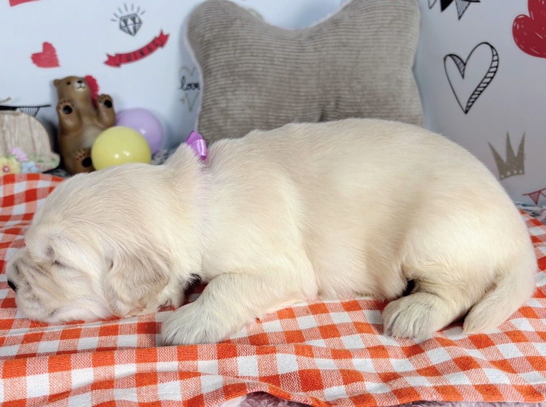 赤ちゃん写真1-2