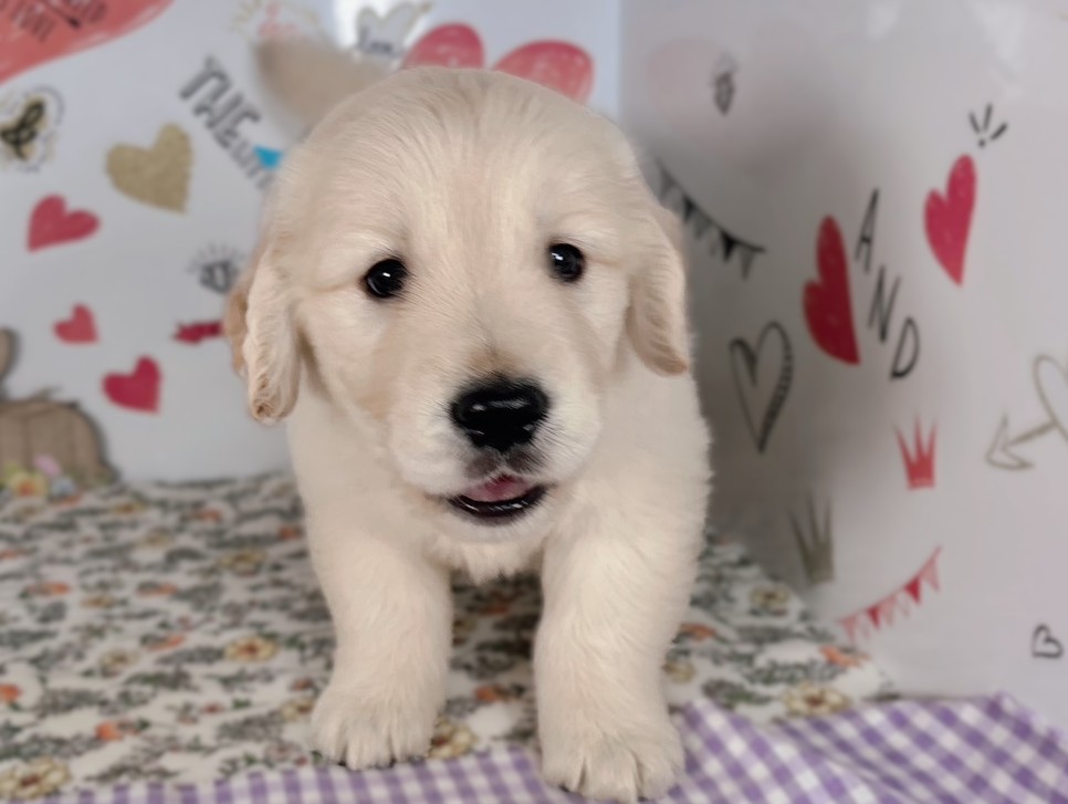 赤ちゃん写真2-1