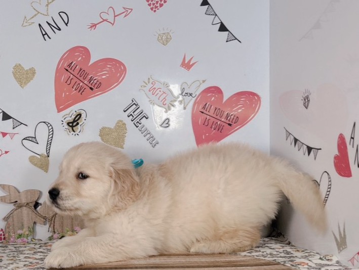 赤ちゃん写真2-2