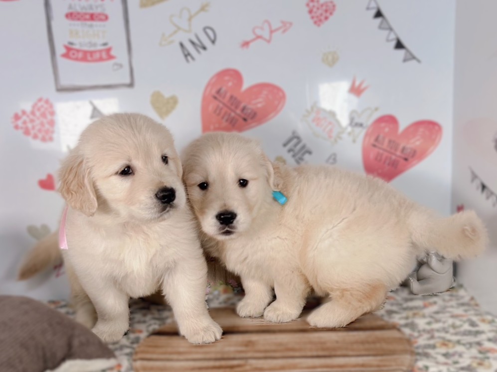 赤ちゃん写真2-3