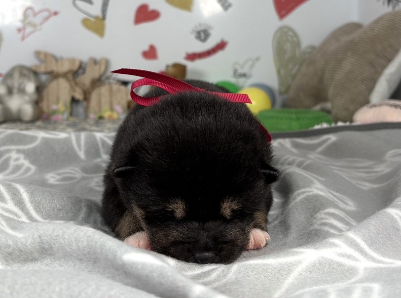 赤ちゃん写真1-1