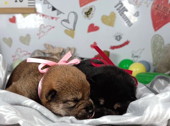 赤ちゃん写真1-3