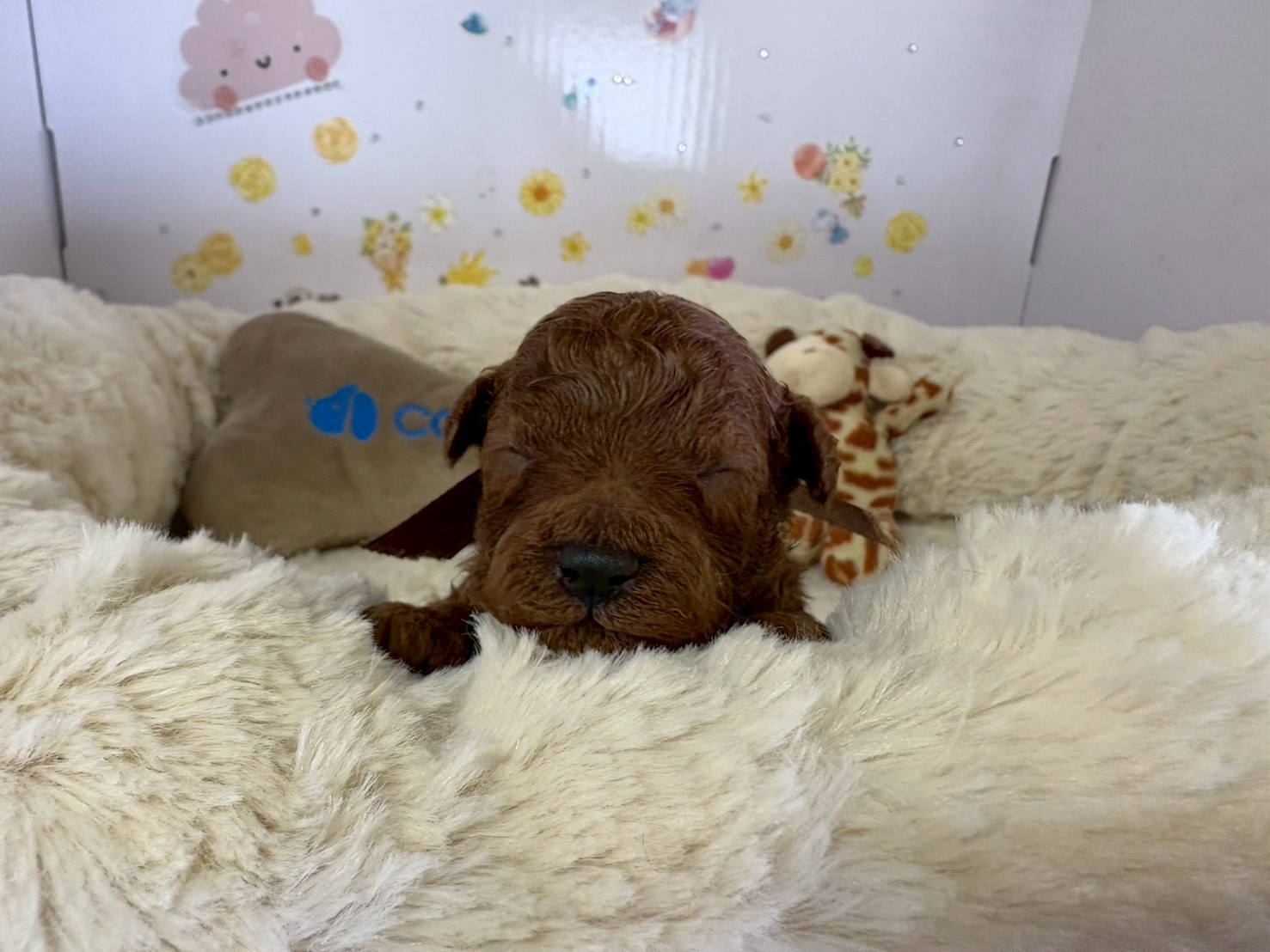 赤ちゃん写真1-1