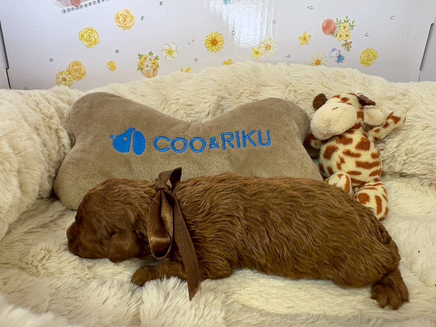 赤ちゃん写真1-2