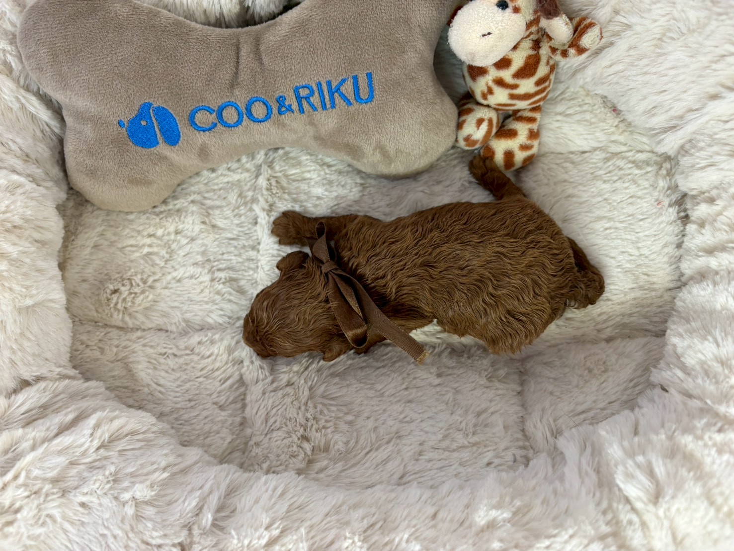 赤ちゃん写真1-3