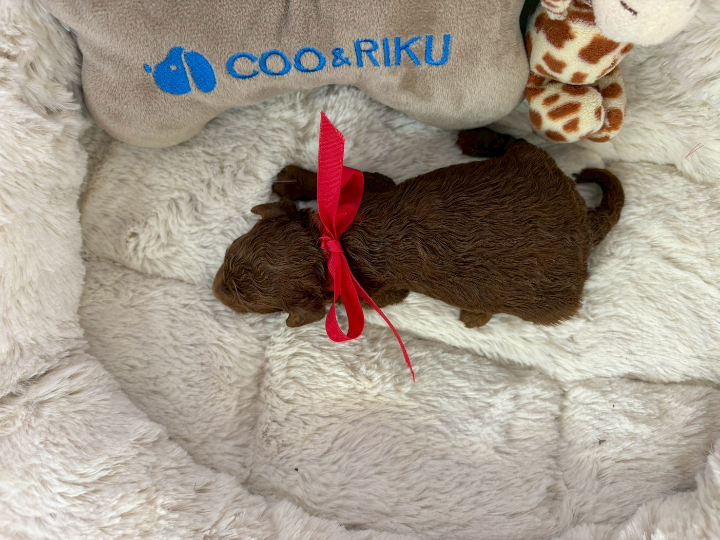 赤ちゃん写真1-3
