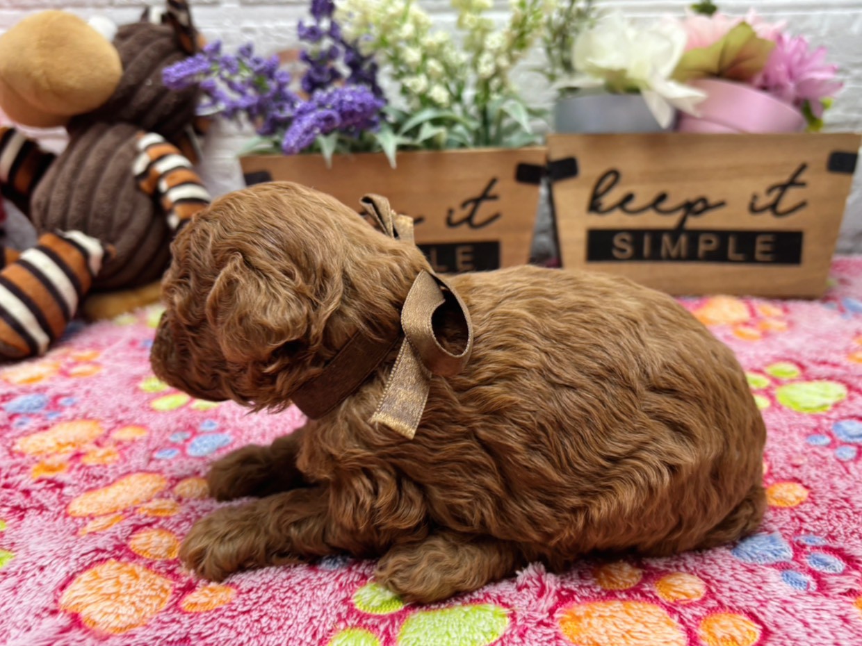 赤ちゃん写真2-2