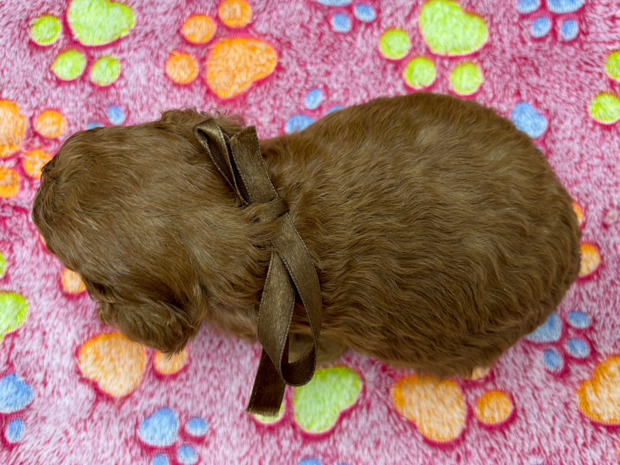 赤ちゃん写真2-3