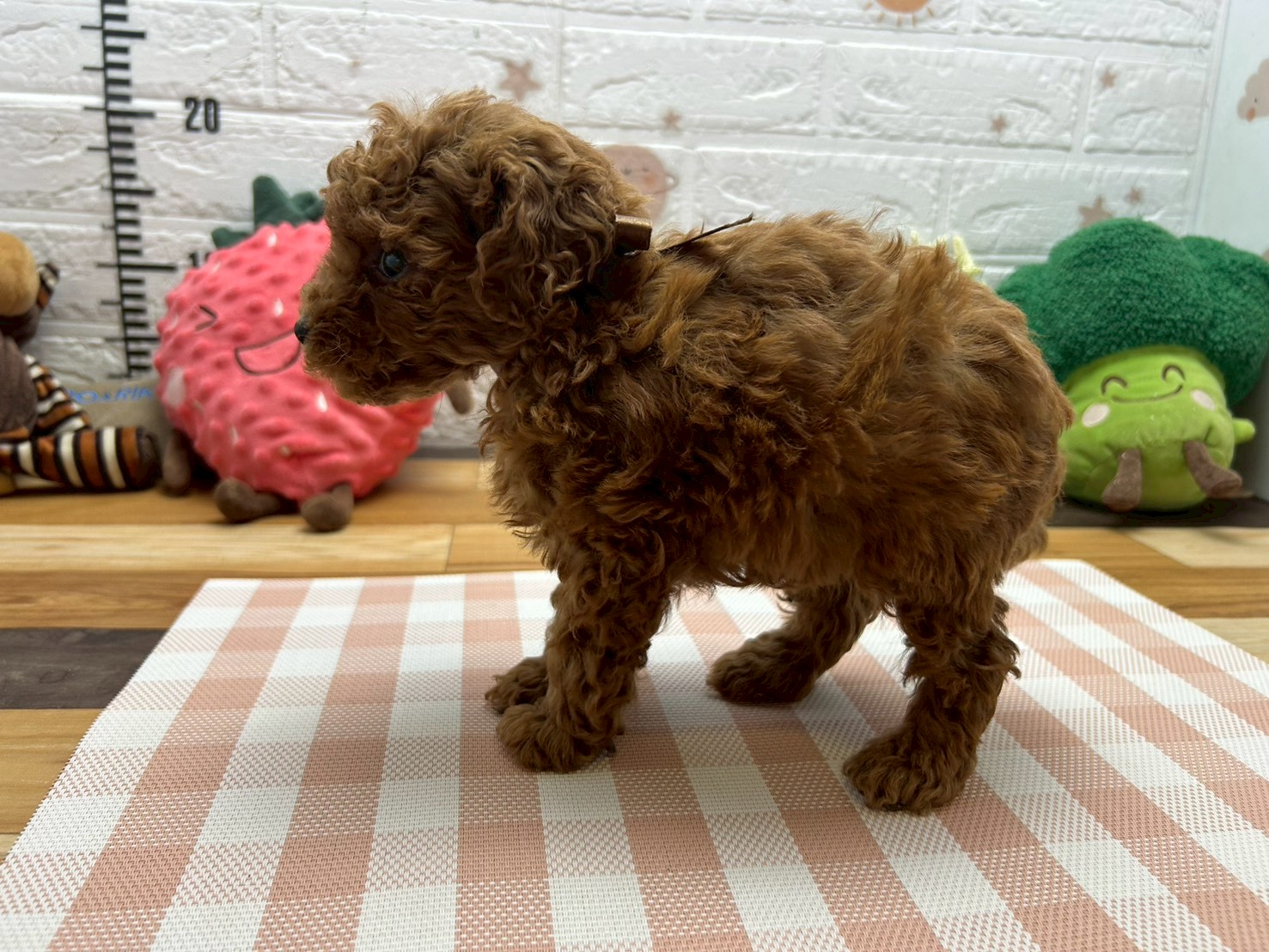 赤ちゃん写真3-2