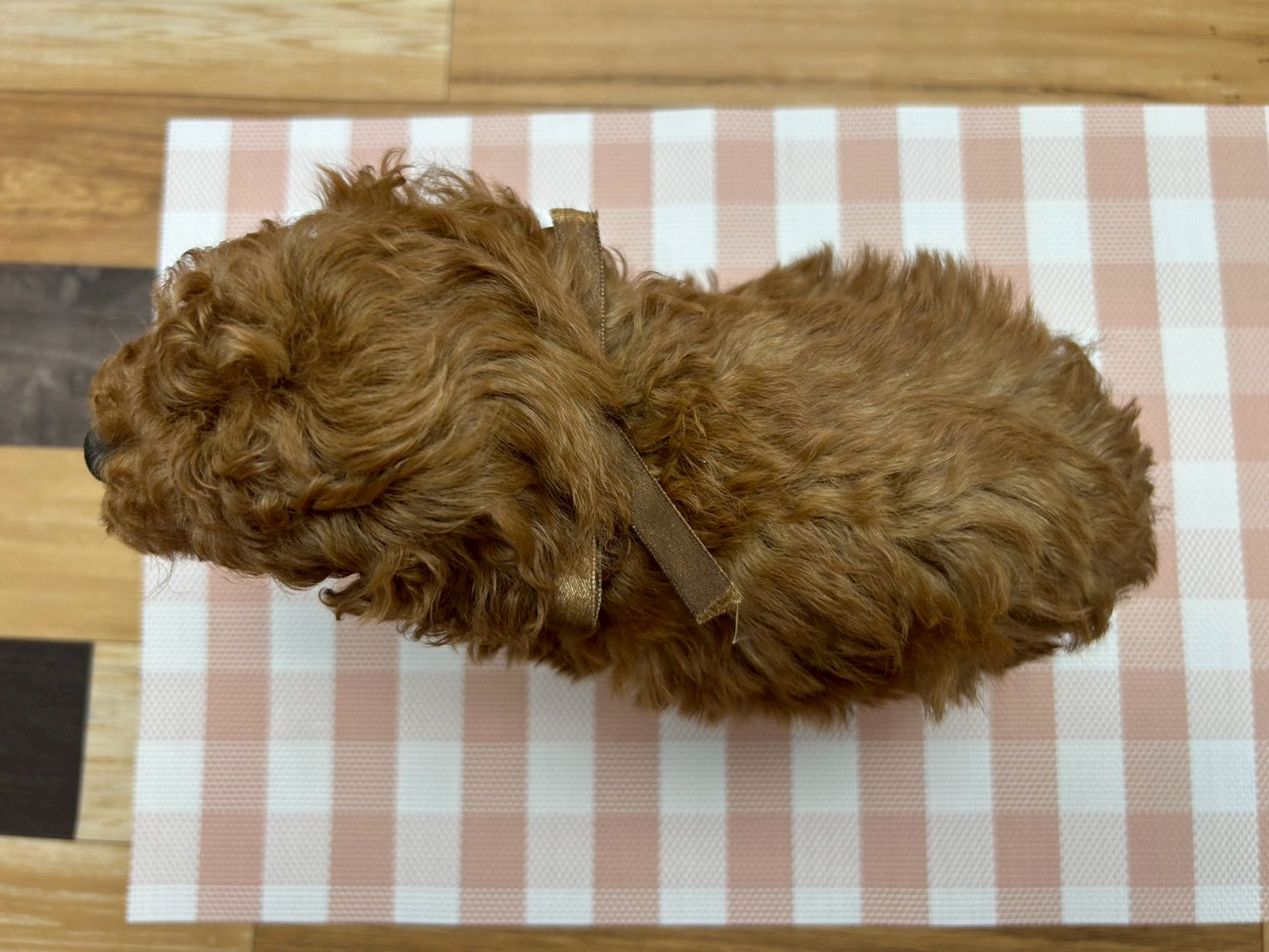 赤ちゃん写真3-3