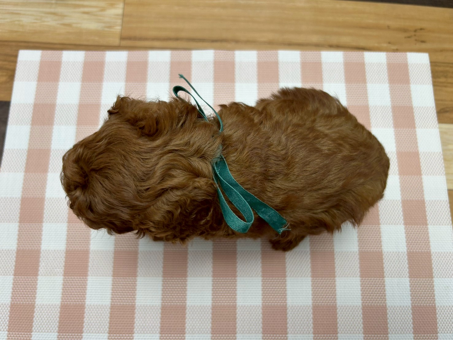 赤ちゃん写真3-3