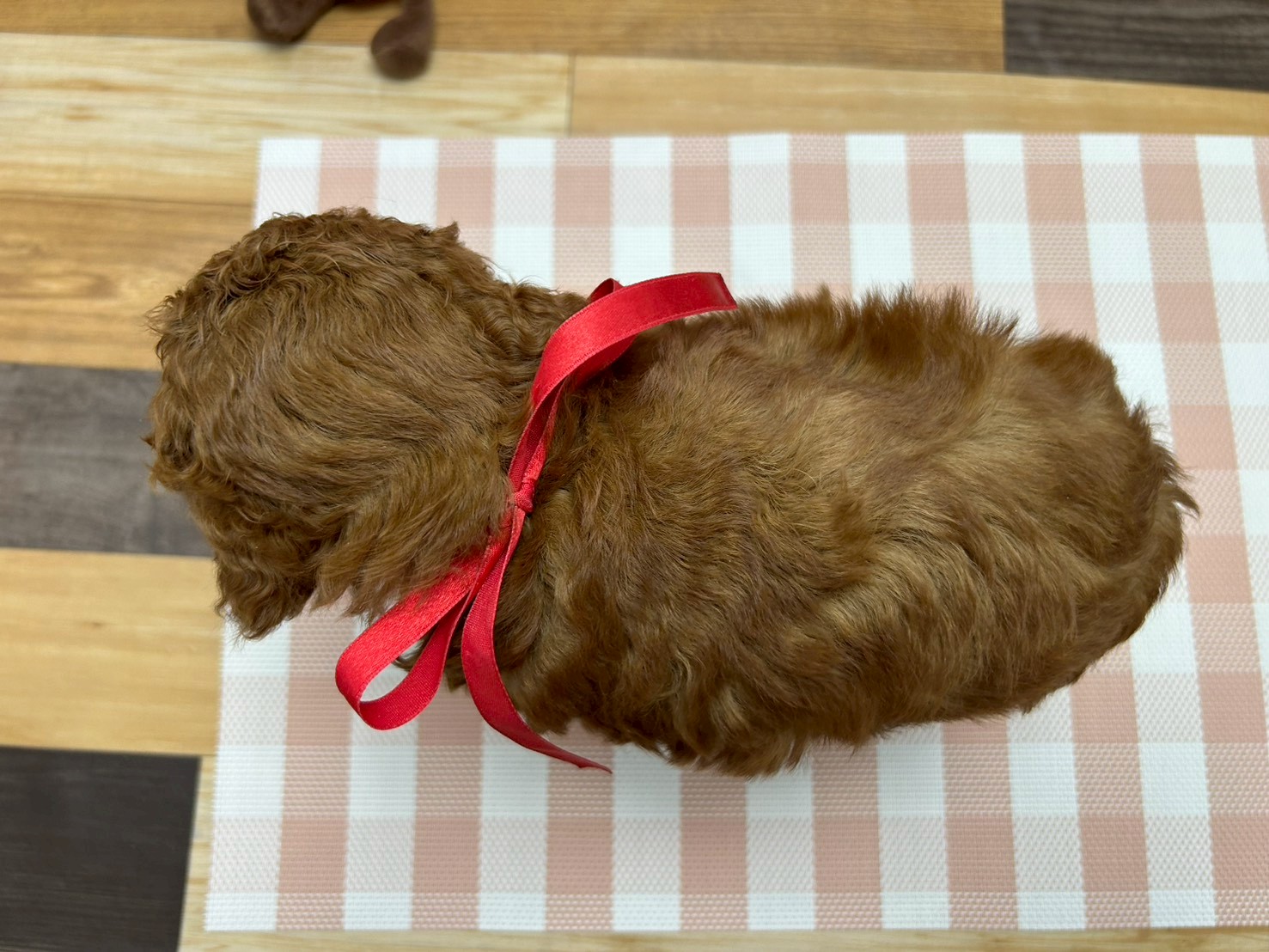 赤ちゃん写真3-3