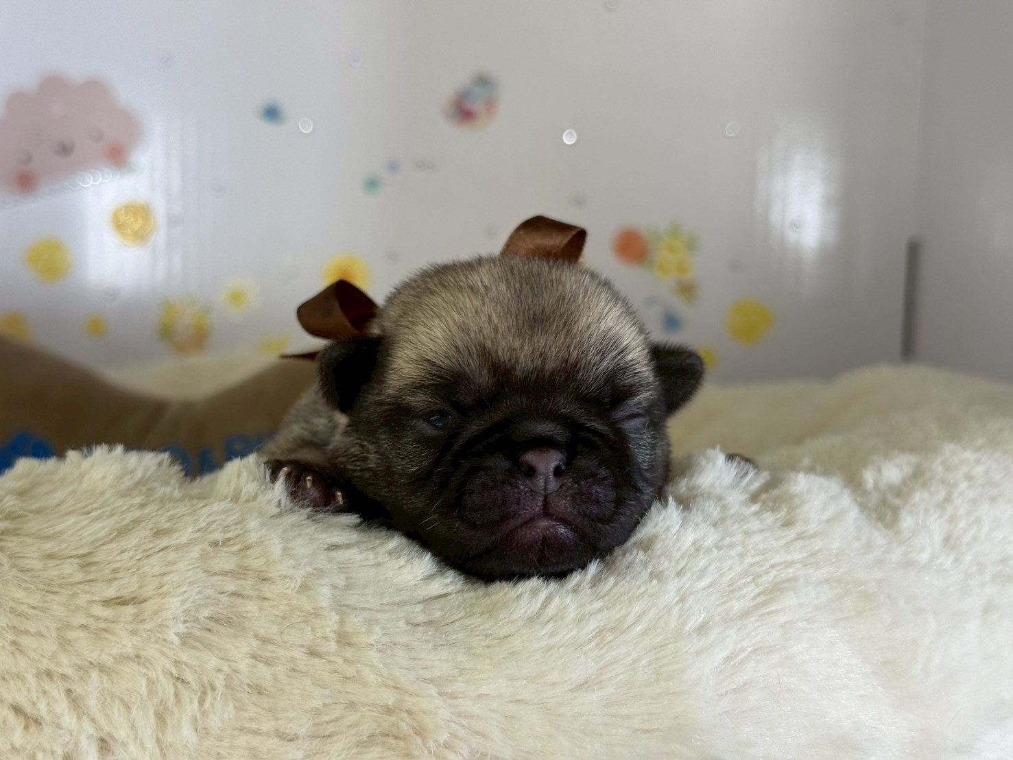 赤ちゃん写真1-1