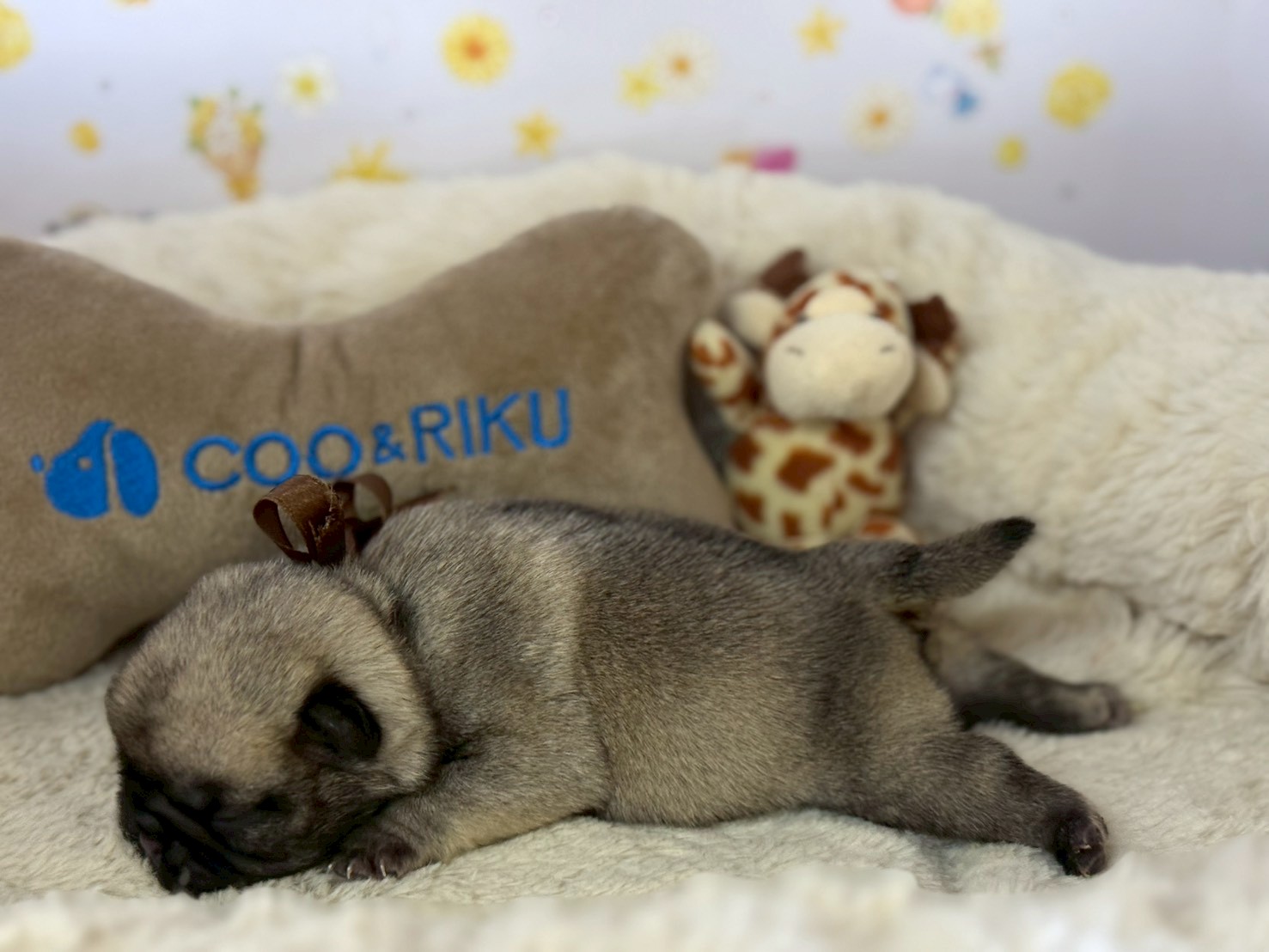 赤ちゃん写真1-2