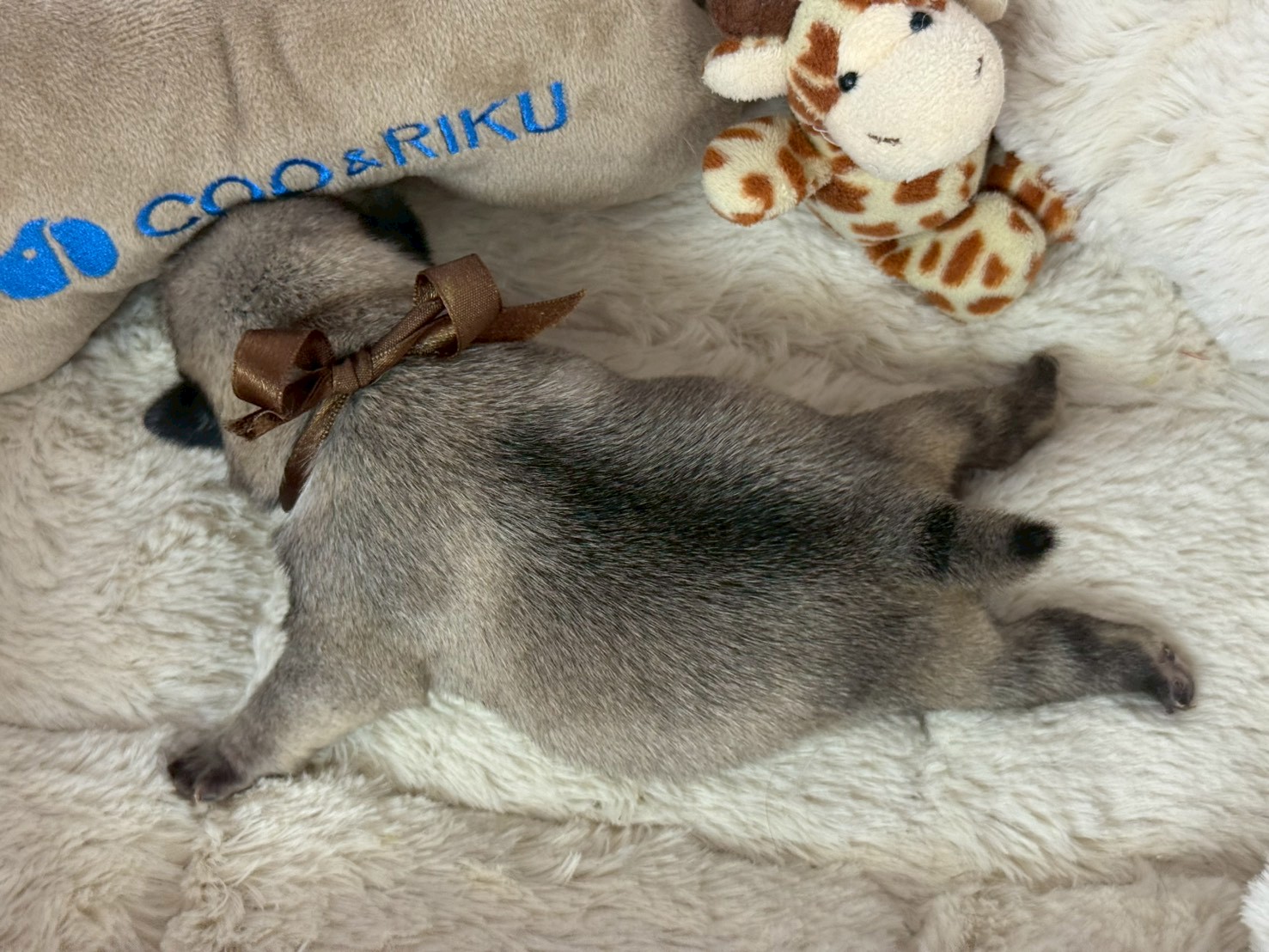 赤ちゃん写真1-3