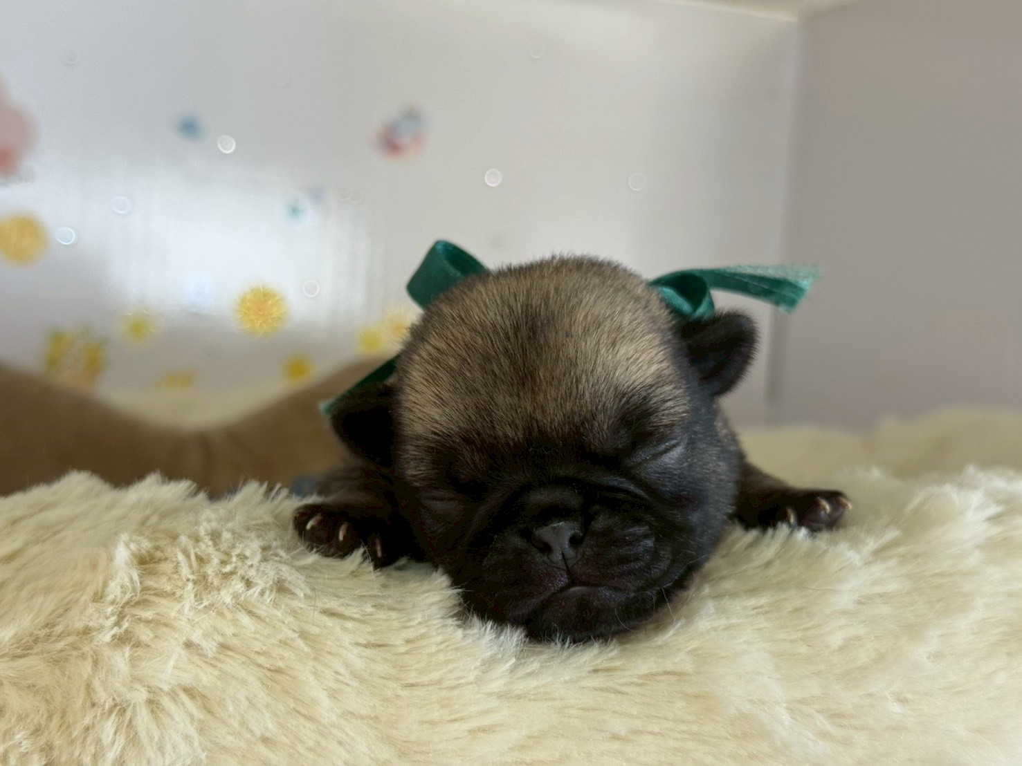 赤ちゃん写真1-1