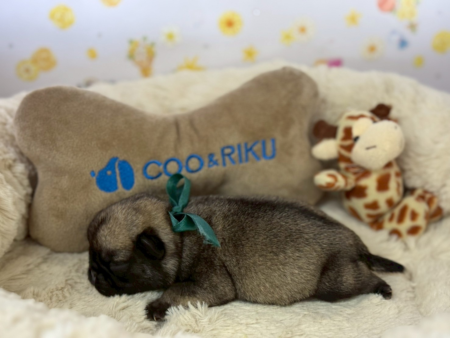 赤ちゃん写真1-2