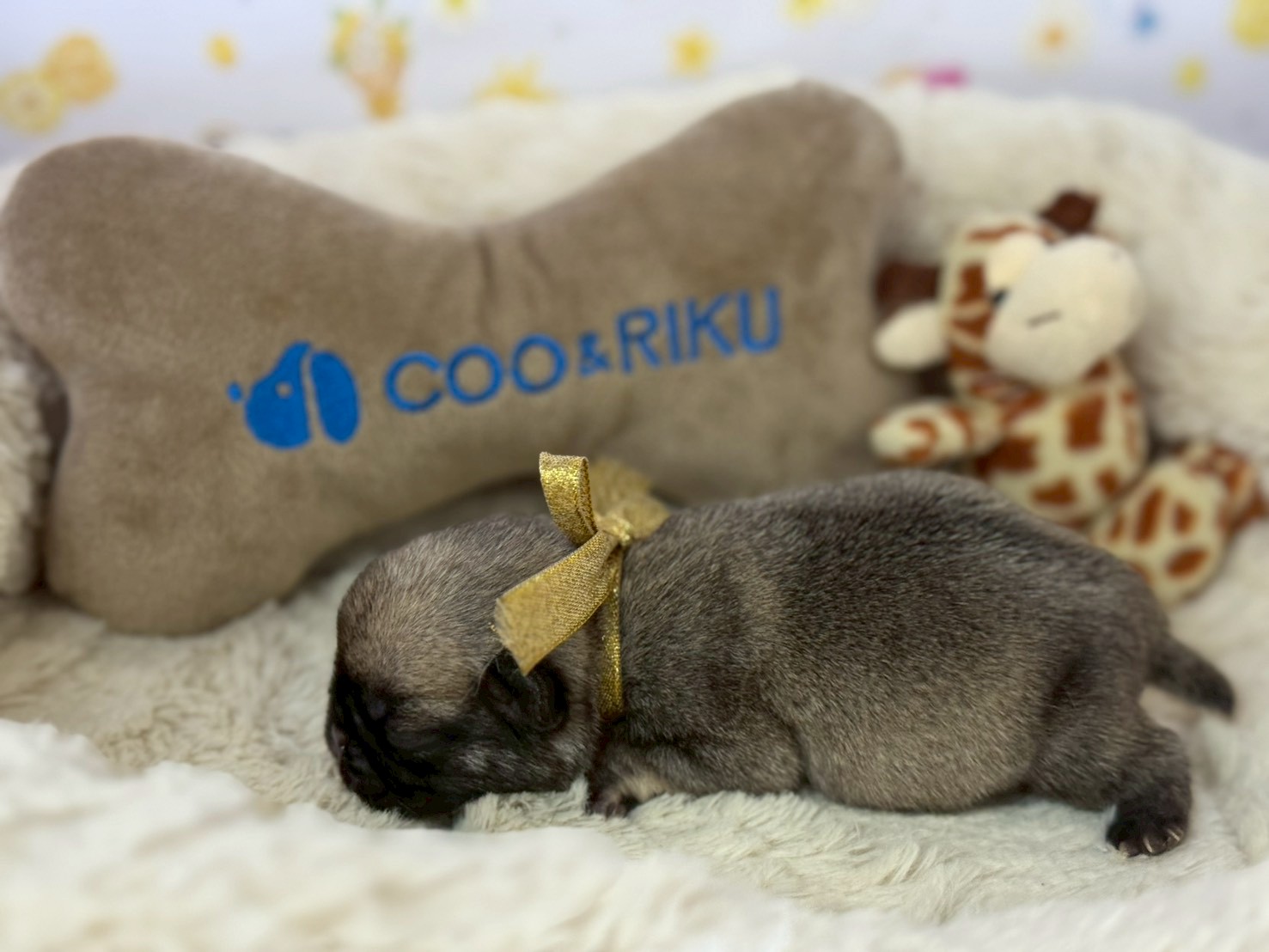 赤ちゃん写真1-2