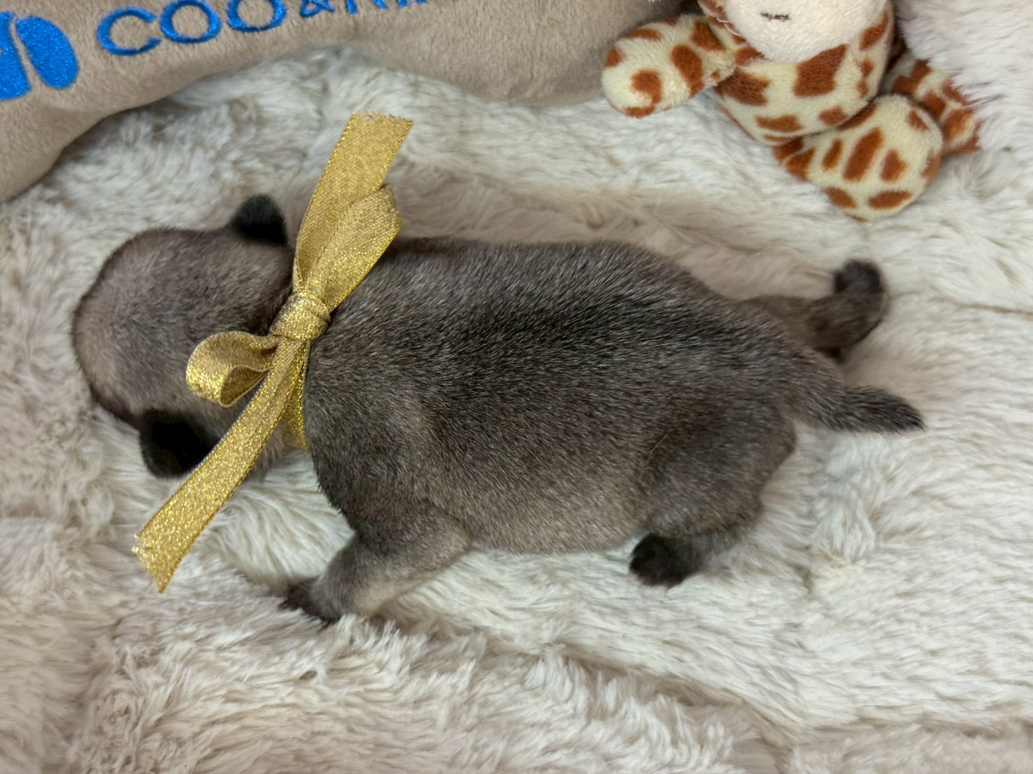 赤ちゃん写真1-3