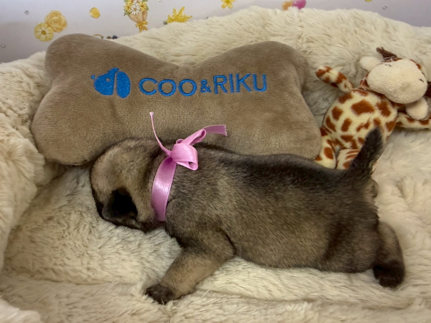 赤ちゃん写真1-2