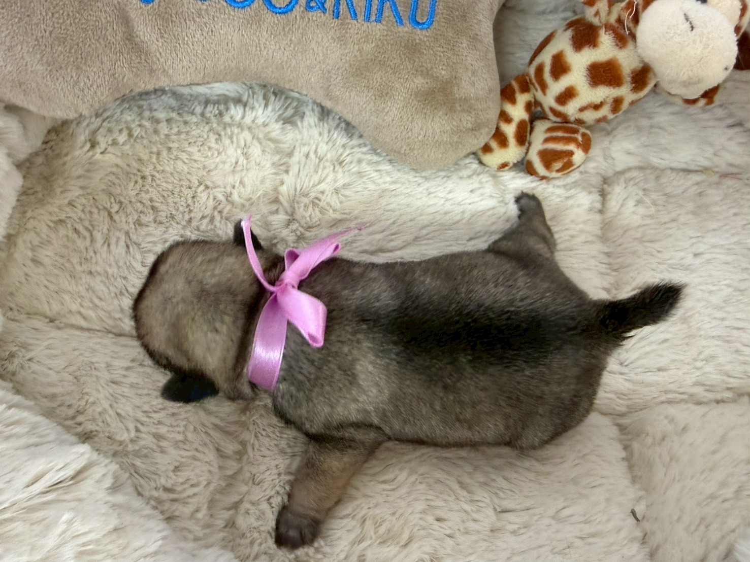 赤ちゃん写真1-3