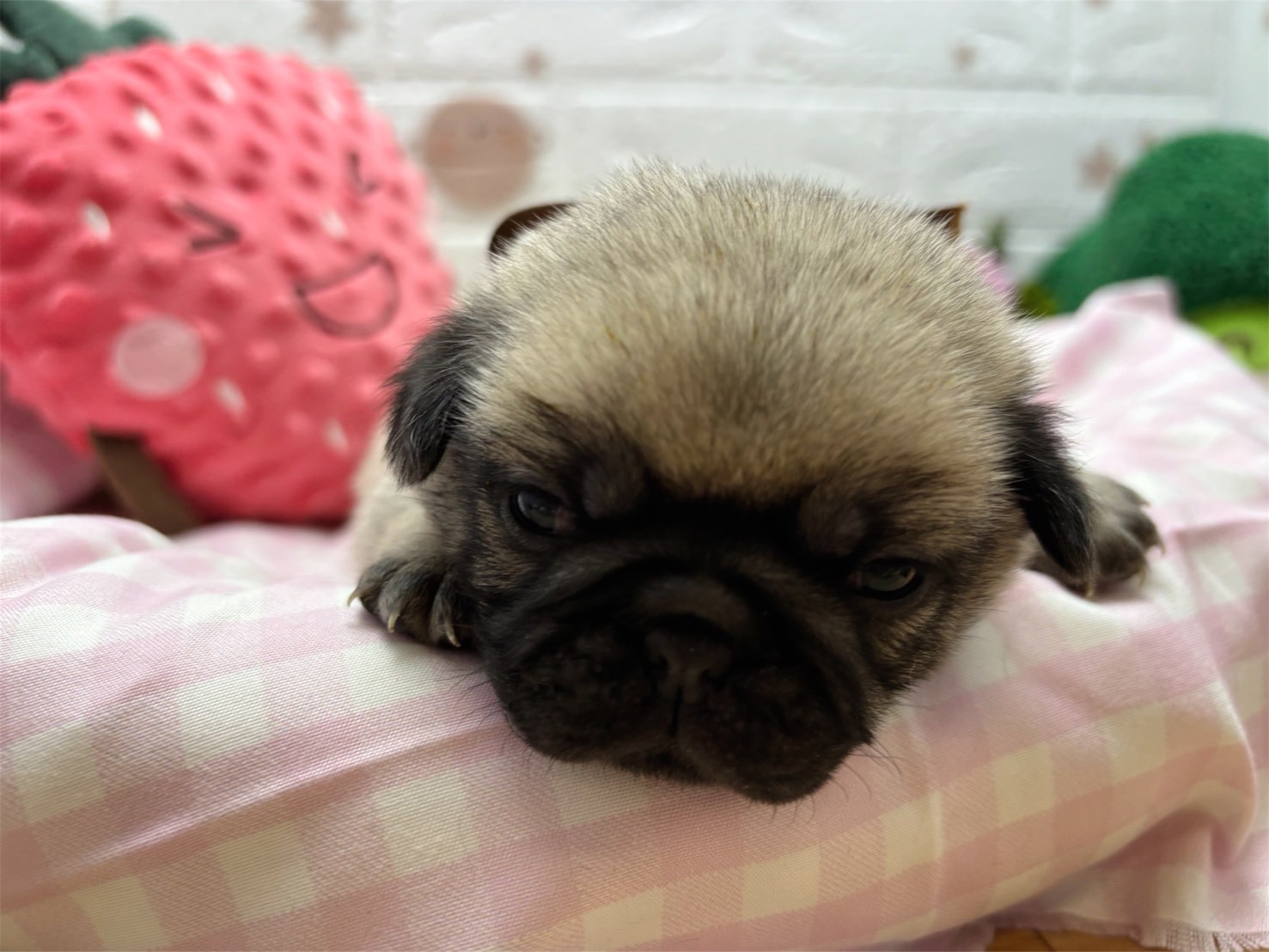 赤ちゃん写真2-1