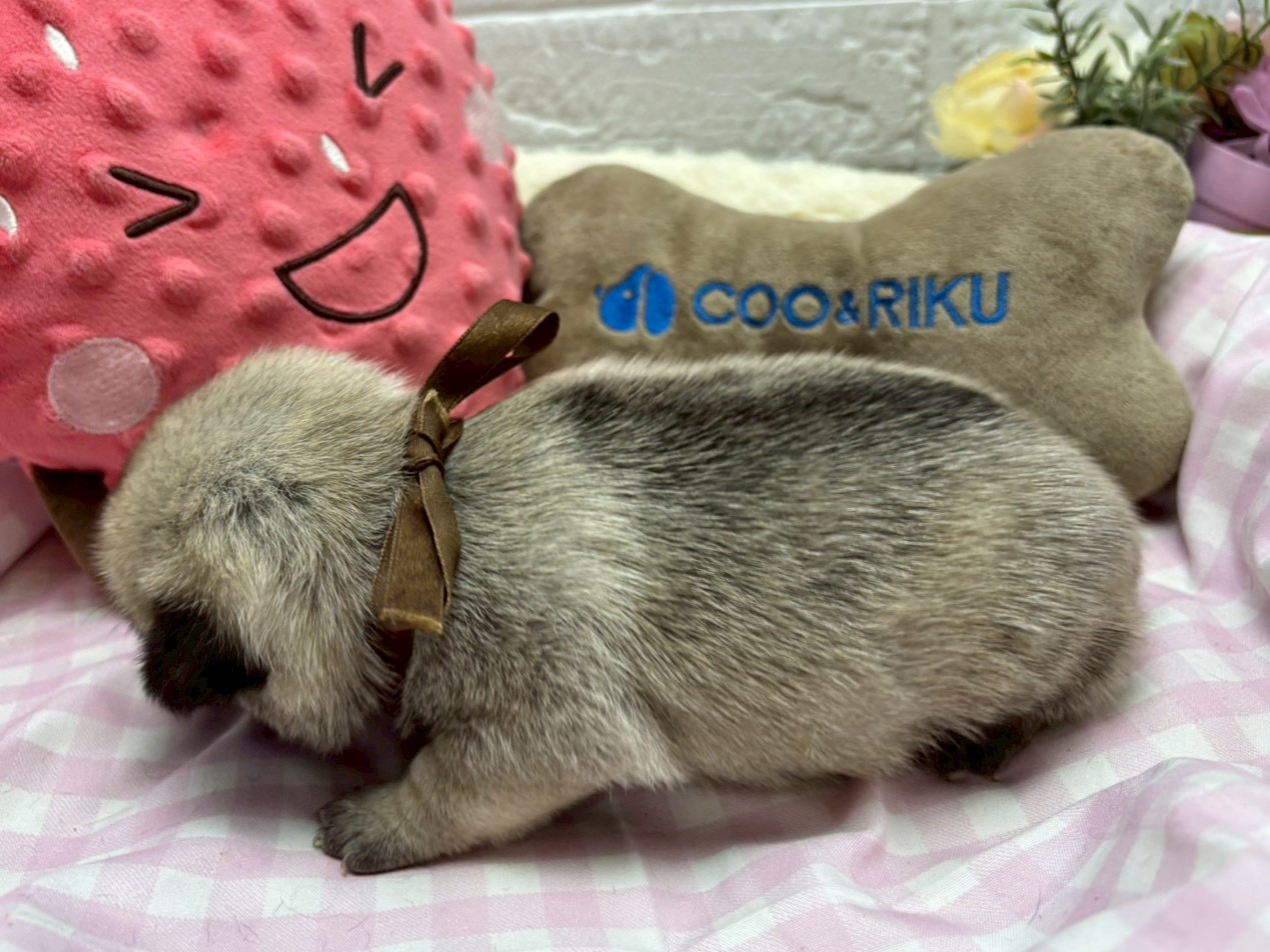 赤ちゃん写真2-2