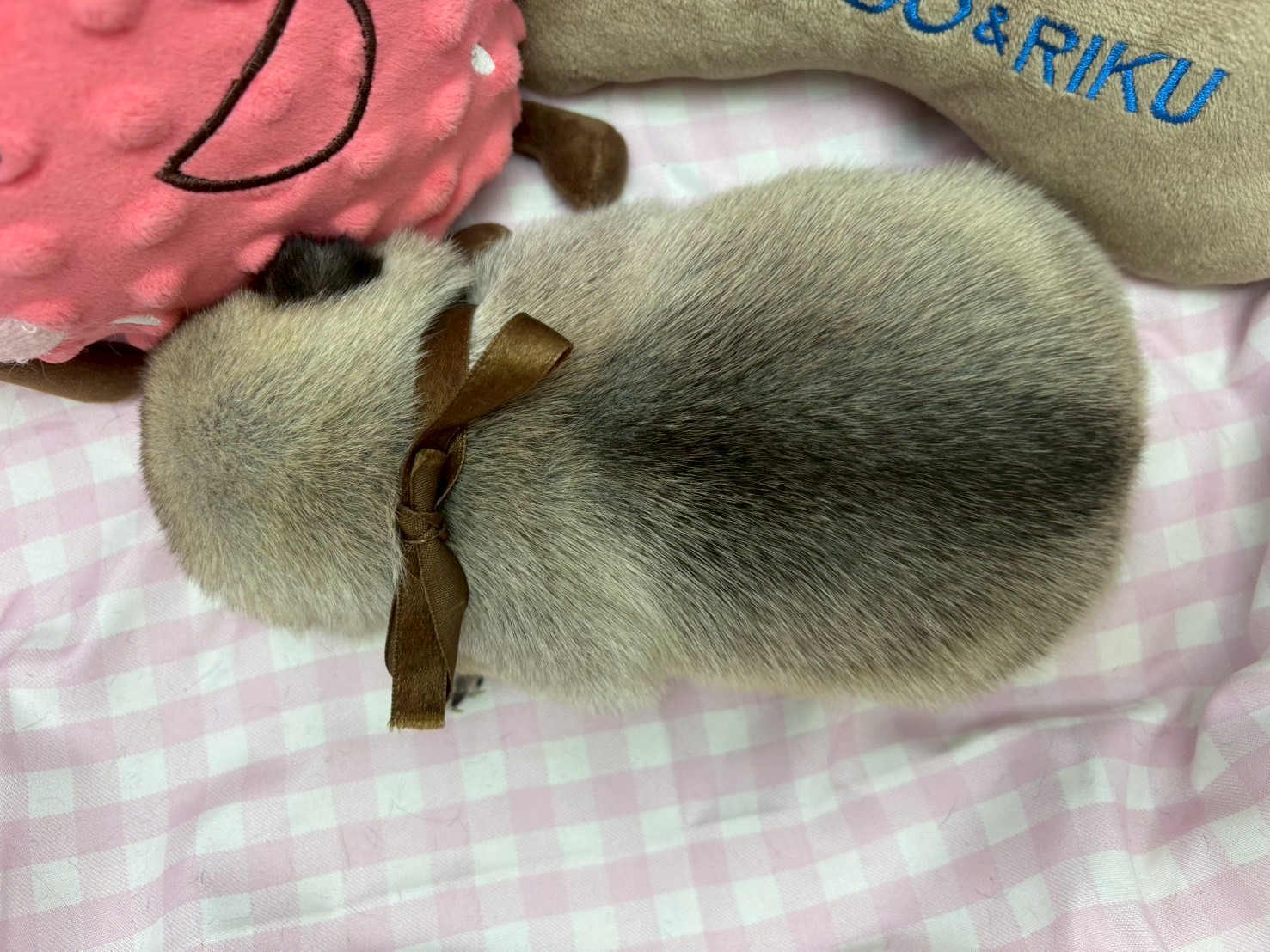 赤ちゃん写真2-3