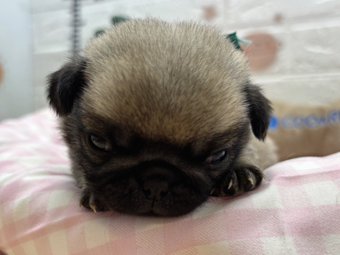 赤ちゃん写真2-1