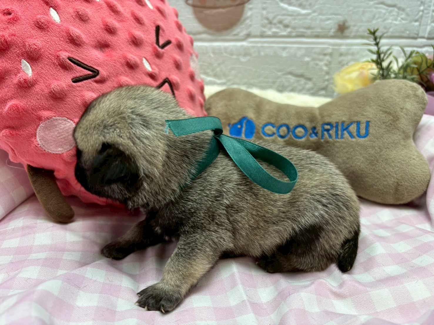 赤ちゃん写真2-2